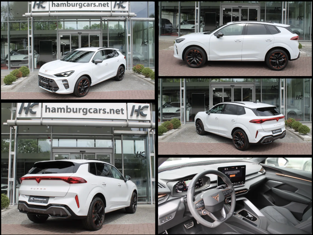 Cupra Terramar - VZ 2.0 4x4 20" DCC HUD Nav Mtrx AssistenzP. SoundSys 5J-Gar