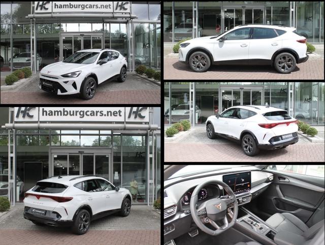 Cupra Formentor - 1.5 eTSI DSG AHK Sitzhzg ACC PDC