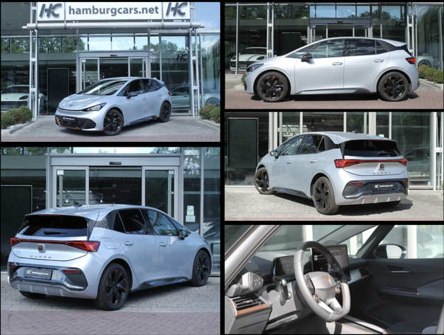 Cupra Born - 60-Aktion- Wärmep. PilotM Below ZeroP. 19" Privacy Glass Ganzjahresreifen