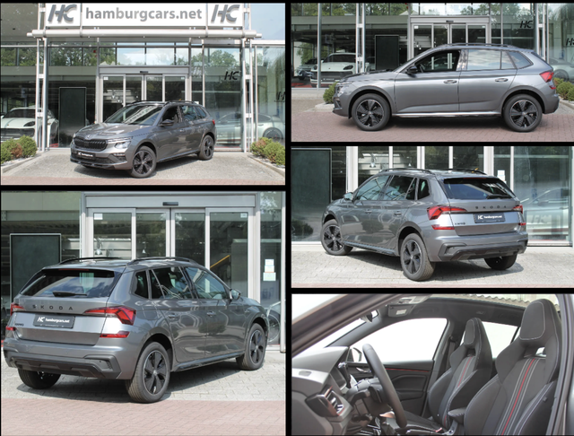 Skoda Kamiq - Monte Carlo 1.5 DSG AHK Navi AssistentP+ Pano MtrxLED Winter-Premium SafetyP