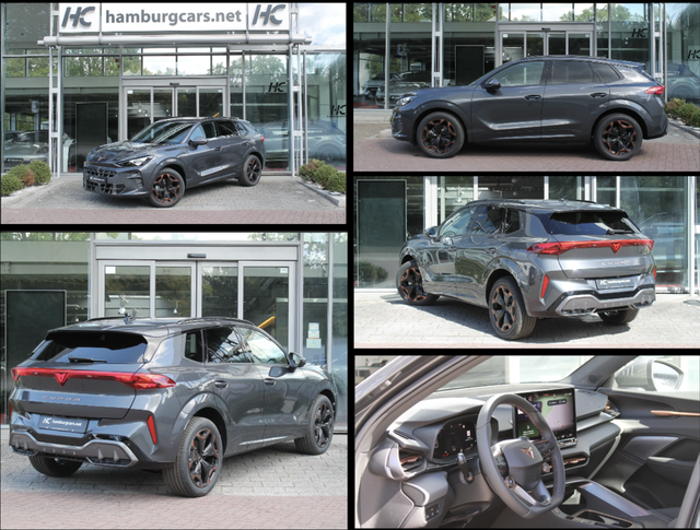 Cupra Terramar - AKTION! 1.5 eTSI AHK HUD DCC MtrxLED Drive&Performance&Int.Drive& EdgePaket 5J.Gar