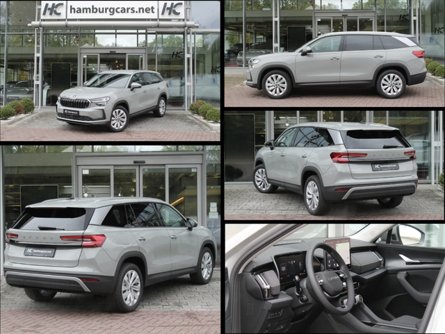 Skoda Kodiaq - Selection 2.0TDI AHK 13"Navi 19"Alu Assistenz-Convenience-WinterP
