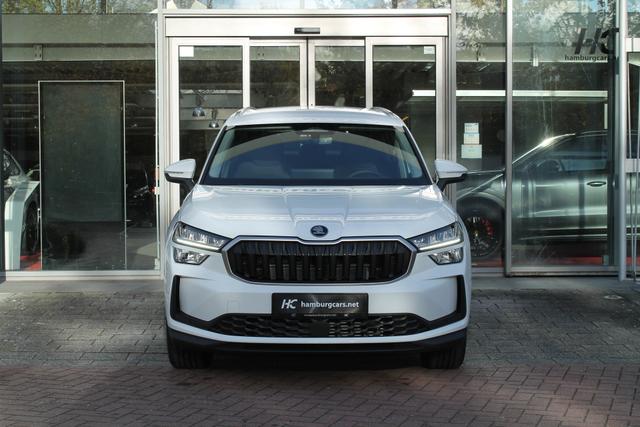 Skoda Kodiaq Selection 2.0TDI AHK 13"Navi 19"Alu Assistenz-Convenience-WinterP 