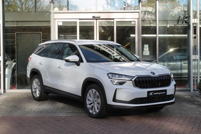 Skoda Kodiaq Selection 2.0TDI AHK 13"Navi 19"Alu Assistenz-Convenience-WinterP 