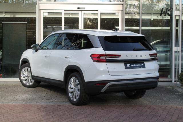 Skoda Kodiaq Selection 2.0TDI AHK 13"Navi 19"Alu Assistenz-Convenience-WinterP 