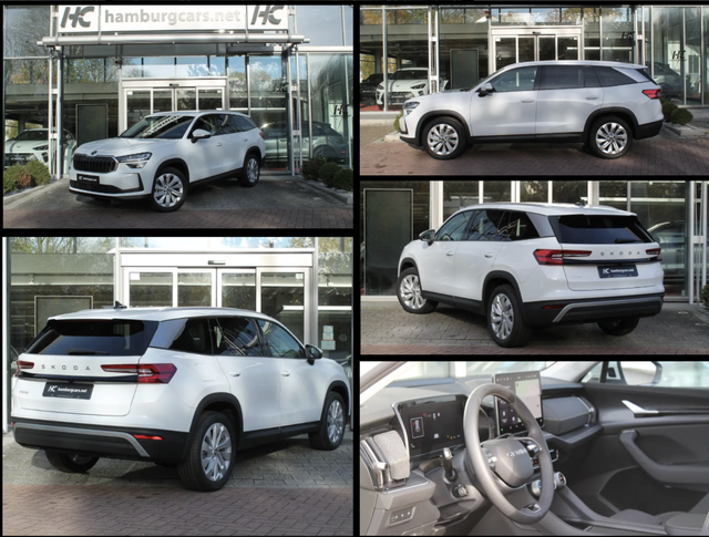 Skoda Kodiaq - Selection 2.0TDI AHK 13"Navi 19"Alu Assistenz-Convenience-WinterP
