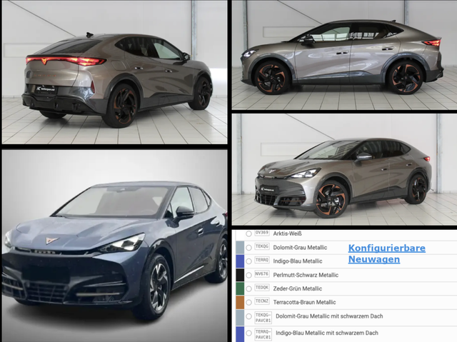Cupra Tavascan - Endurance Konfigurierbarer Neuwagen