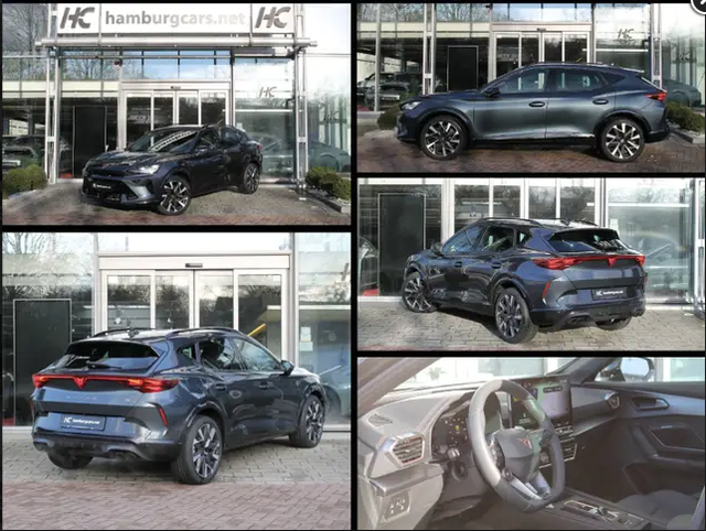 Cupra Formentor - 2.0TDI AHK Nav Edge-Assistenz-WinterP