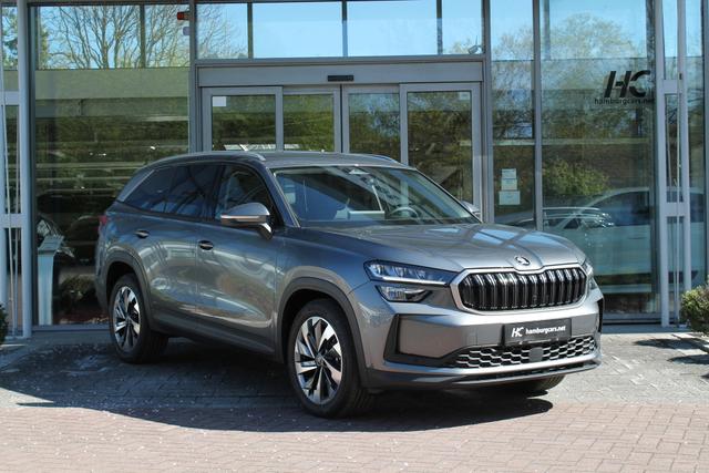 Skoda Kodiaq Selection 4x4 Navi 19"Alu AssistenzP Convenience+P WinterP 