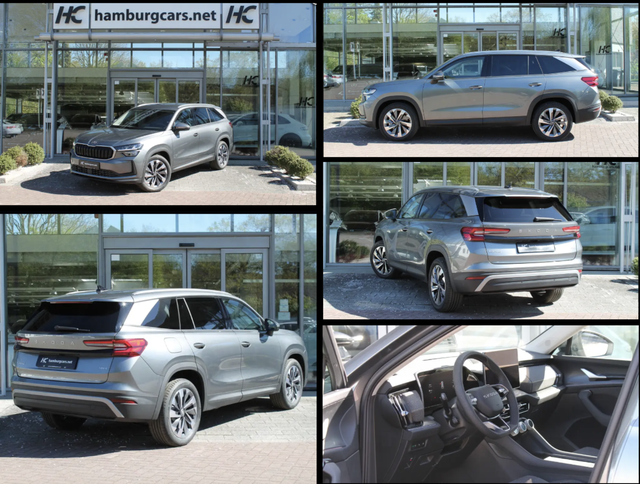 Skoda Kodiaq - Selection 4x4 Navi 19"Alu AssistenzP Convenience+P WinterP