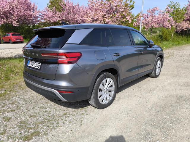 Skoda Kodiaq Selection 2.0TDI AHK 360Cam Navi 19" el Sitz Assistenz-Convenience-WinterP 