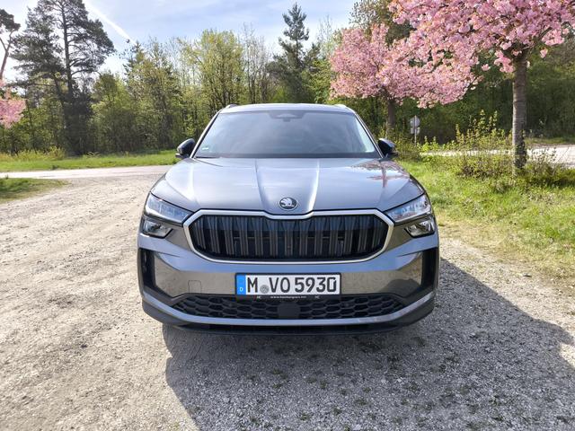 Skoda Kodiaq Selection 2.0TDI AHK 360Cam Navi 19" el Sitz Assistenz-Convenience-WinterP 