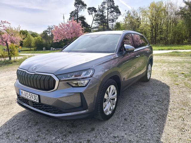 Skoda Kodiaq Selection 2.0TDI AHK 360Cam Navi 19" el Sitz Assistenz-Convenience-WinterP 