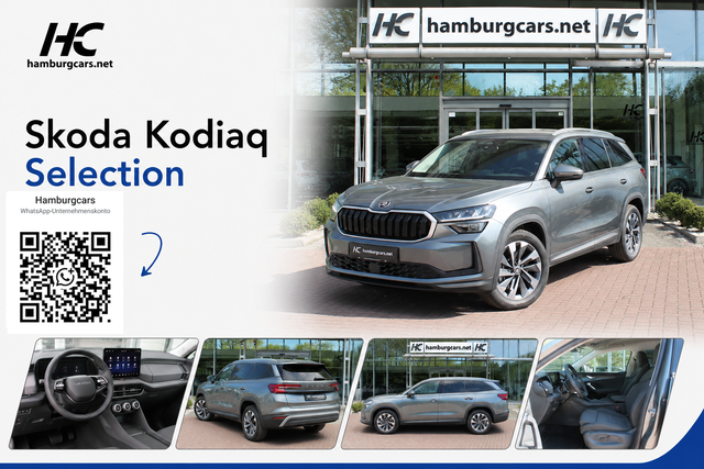 Skoda Kodiaq - Selection 4x4 Navi 19"Alu AssistenzP Convenience+P WinterP