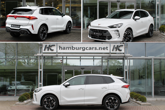 Cupra Terramar Basis 1.5eTSI DSG BusinessP. EDGE Paket - DIGITAL DRIVE INTELLIGENT L Gep&auml;cktrennnetz 