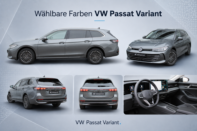 VW Passat Beispiel Grau.png