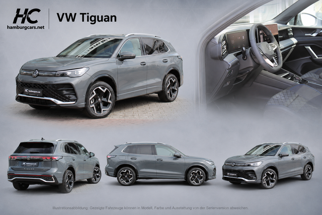 VW Tiguan Bsp Grau.png