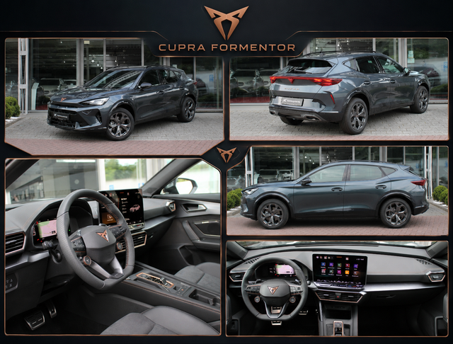 Cupra Formentor Basis 1,5 eTSI DSG +Winterpaket 