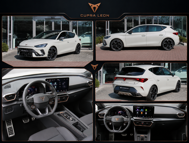 Cupra Leon Taiga Grey
