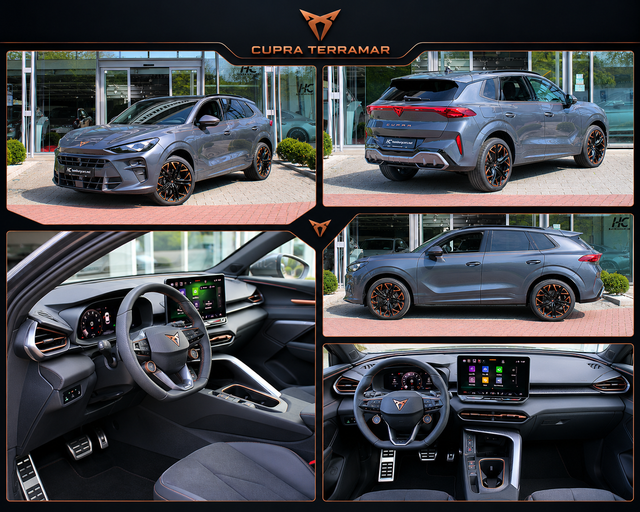 Cupra Terramar Grau