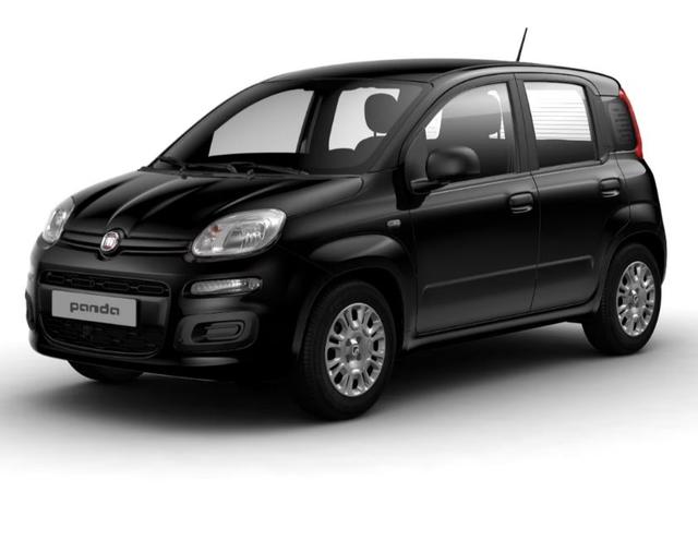 Fiat Panda - 1.0 Mild Hybrid Pandina Icon