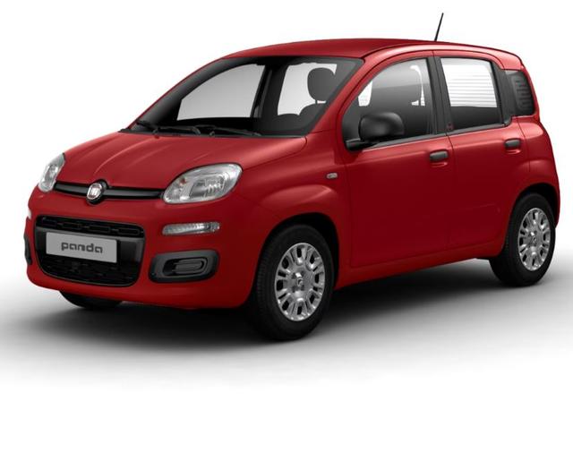 Fiat Panda - 1.0 Mild Hybrid Pandina Icon