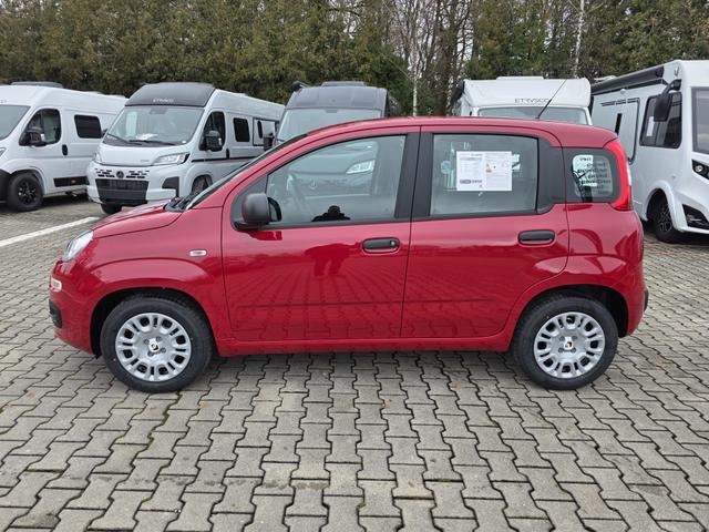 Fiat Panda 1.0 Mild Hybrid Pandina Pop 