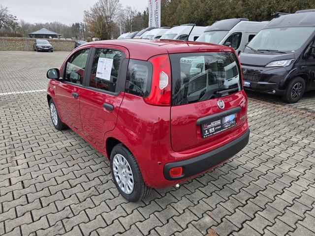 Fiat Panda 1.0 Mild Hybrid Pandina Pop 
