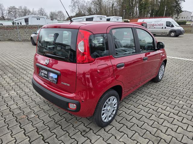 Fiat Panda 1.0 Mild Hybrid Pandina Pop 