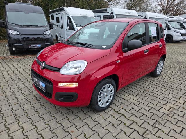 Fiat Panda - 1.0 Mild Hybrid Pandina Pop