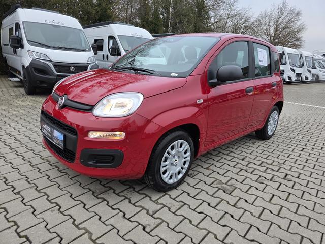 Fiat Panda - 1.0 Mild Hybrid Pandina Icon