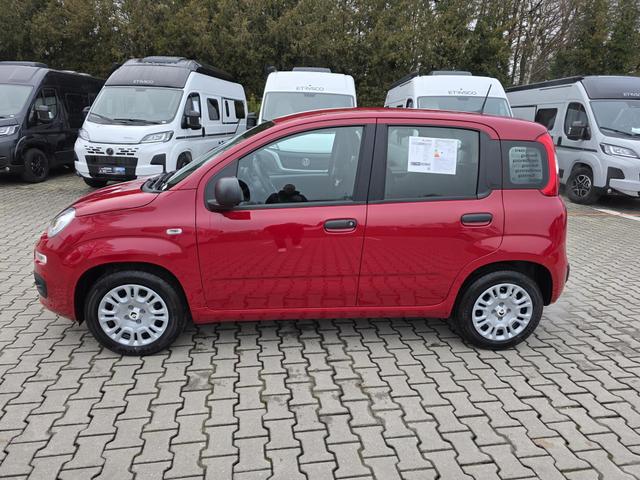Fiat Panda 1.0 Mild Hybrid Pandina Icon 