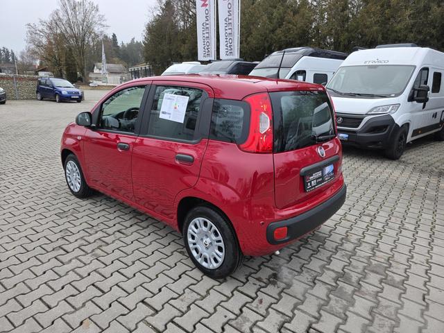 Fiat Panda 1.0 Mild Hybrid Pandina Icon 