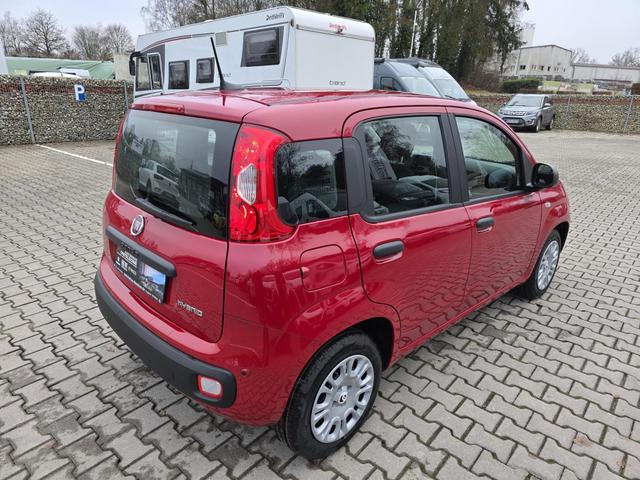 Fiat Panda 1.0 Mild Hybrid Pandina Icon 