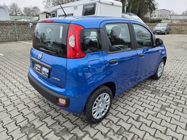 Fiat Panda 1.0 Mild Hybrid Pandina Pop 