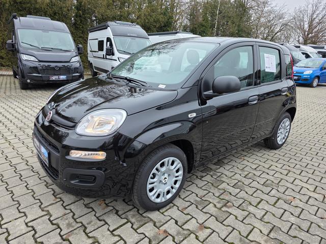 Fiat Panda - 1.0 Mild Hybrid Pandina Pop