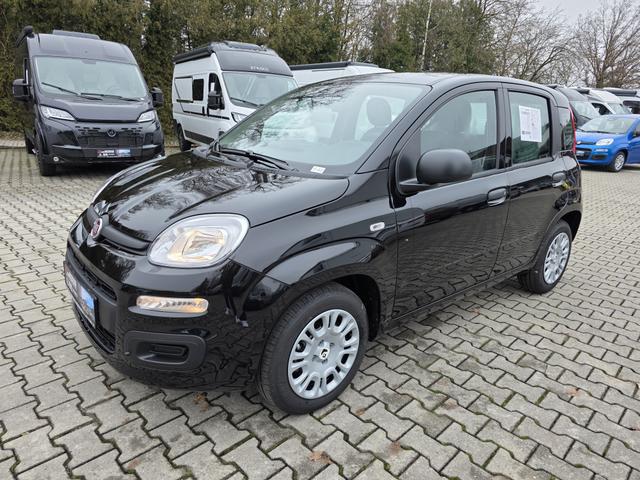 Fiat Panda - 1.0 Mild Hybrid Pandina Pop