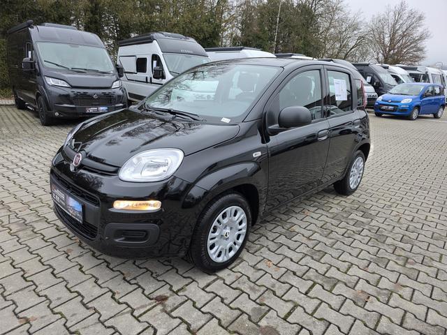 Fiat Panda - 1.0 Mild Hybrid Pandina Icon