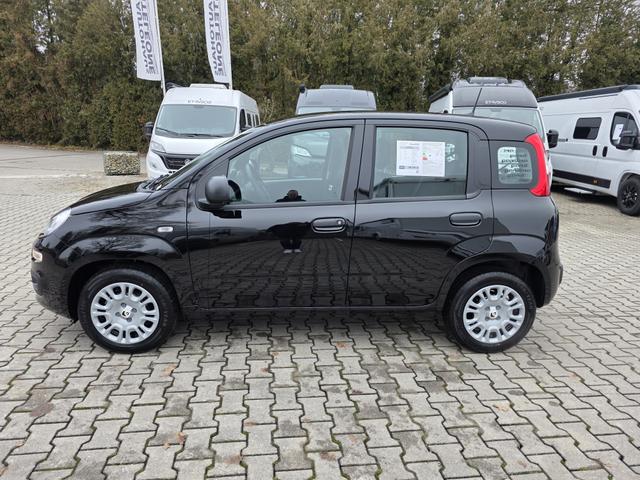 Fiat Panda 1.0 Mild Hybrid Pandina Icon 