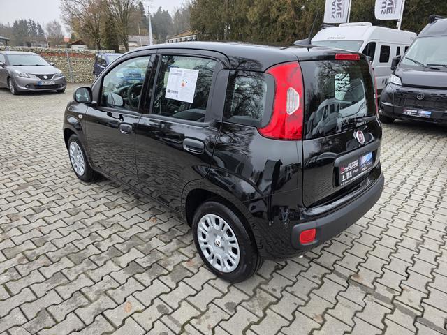 Fiat Panda 1.0 Mild Hybrid Pandina Icon 