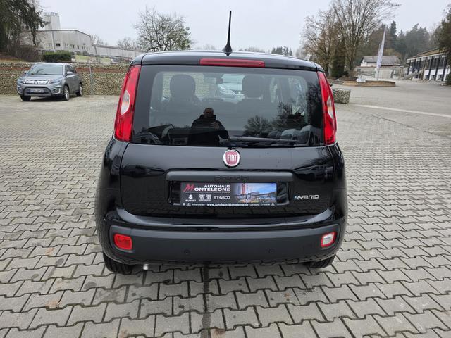 Fiat Panda 1.0 Mild Hybrid Pandina Icon 