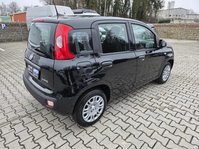 Fiat Panda 1.0 Mild Hybrid Pandina Icon 