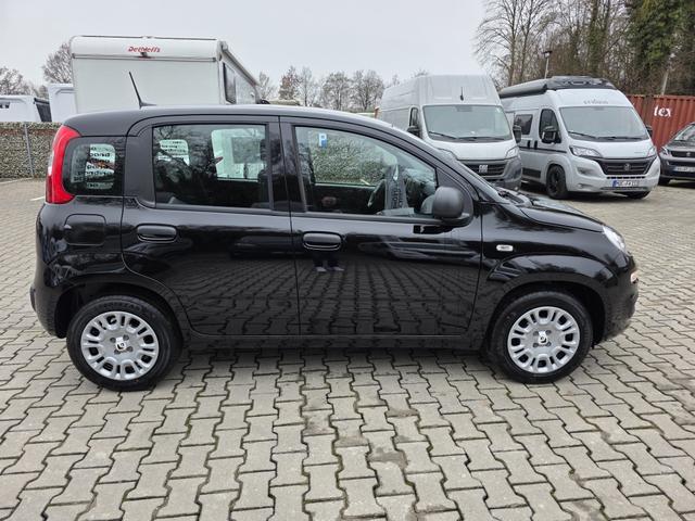 Fiat Panda 1.0 Mild Hybrid Pandina Icon 
