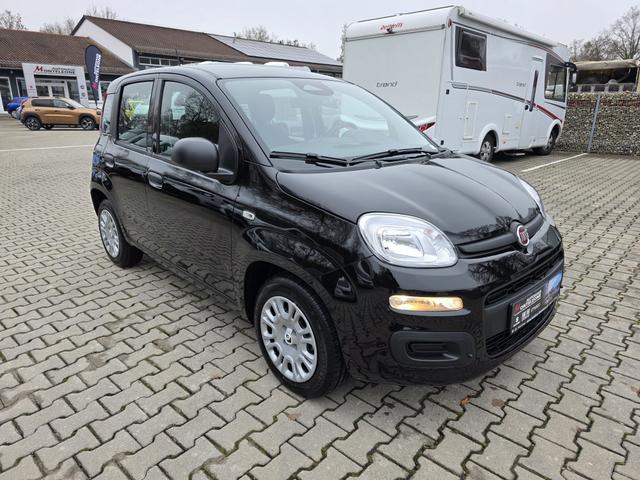 Fiat Panda - 1.0 Mild Hybrid Pandina Icon