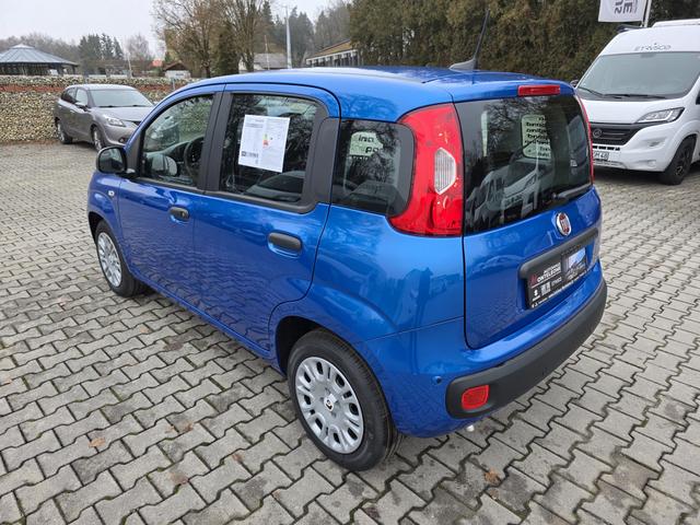 Fiat Panda 1.0 Mild Hybrid Pandina Icon 