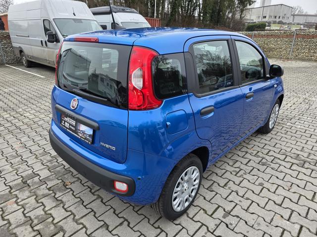 Fiat Panda 1.0 Mild Hybrid Pandina Icon 