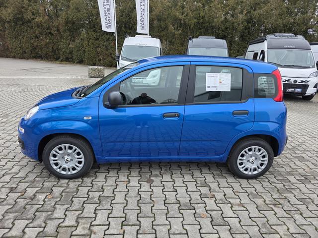 Fiat Panda 1.0 Mild Hybrid Pandina Icon 