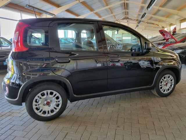 Fiat Panda 1,0 Hybrid Firefly Bluetooth Klima ZV 
