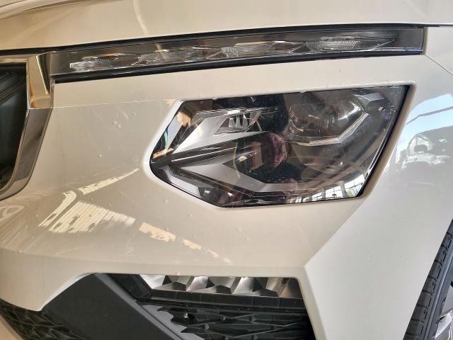 Skoda Kamiq 1,0 TSI DSG7 Selection AHK Matrix-LED PDC Sitzheizung 