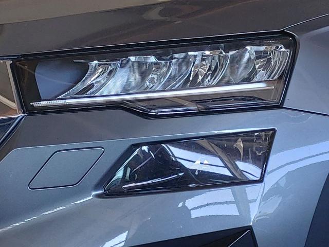 Skoda Karoq 1,5 TSI DSG Selection AHK Kamera LED PDC Winterpaket 